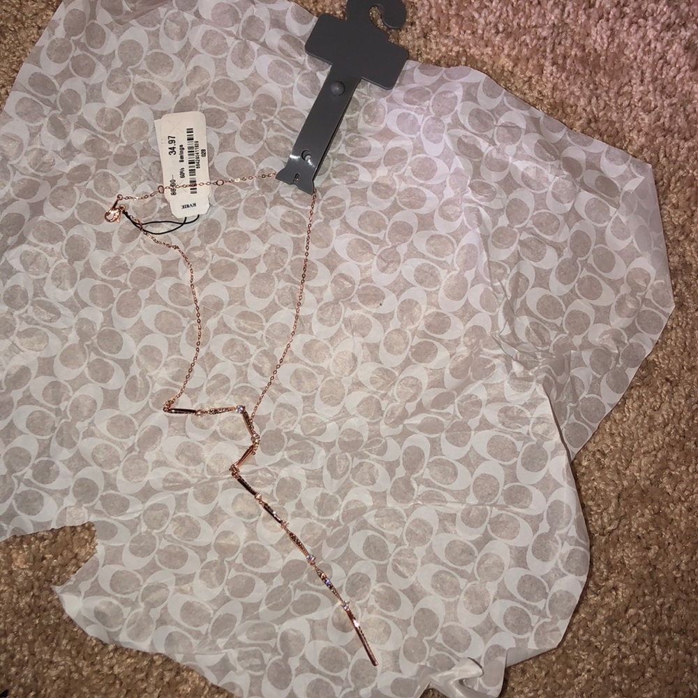 Rose Gold Necklace